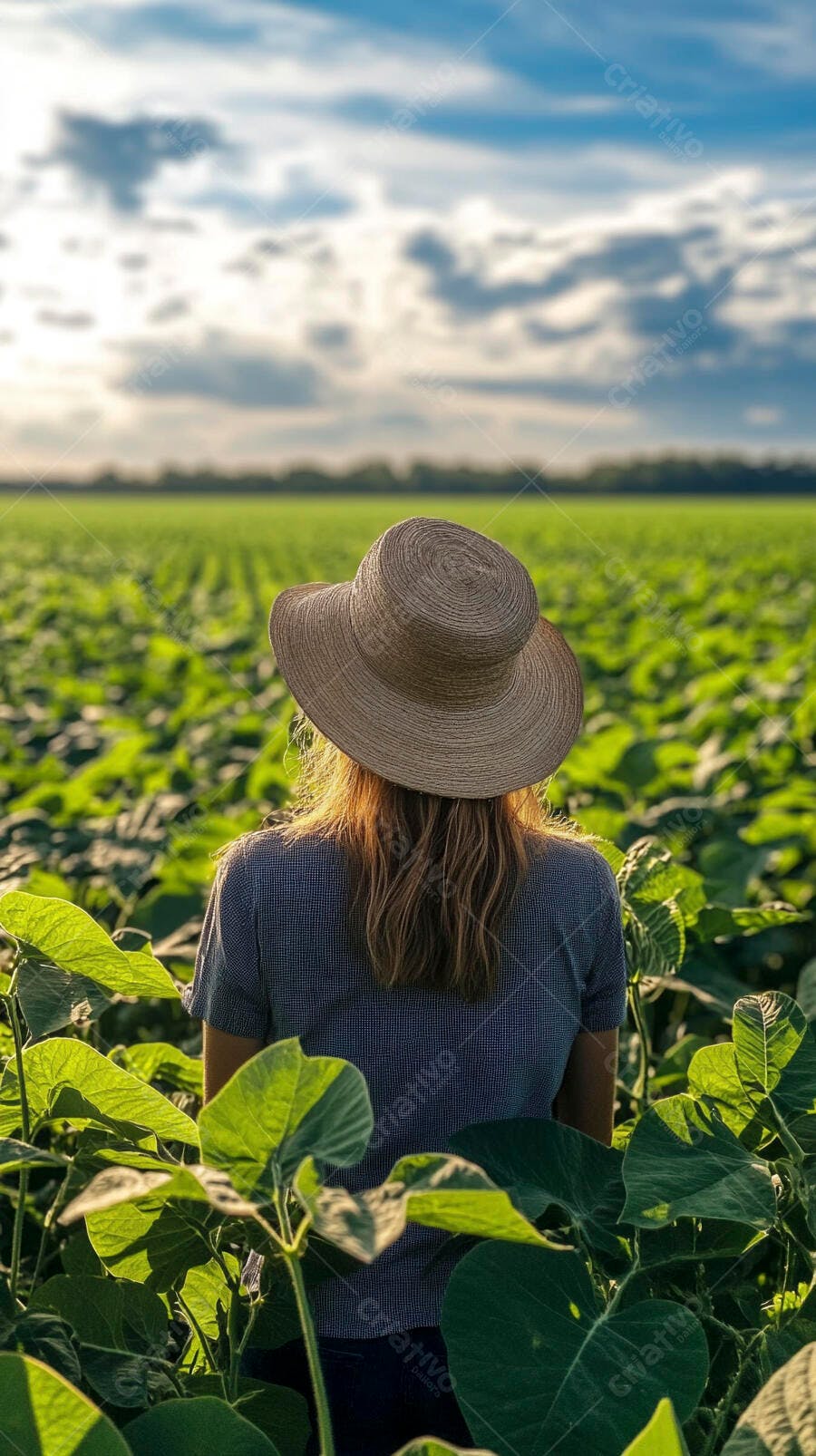 Foto Mulher Chapéu Observando Plantação Agronegócio