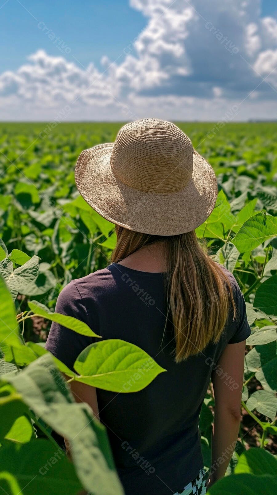 Foto Mulher Chapéu Observando Plantação Agronegócio