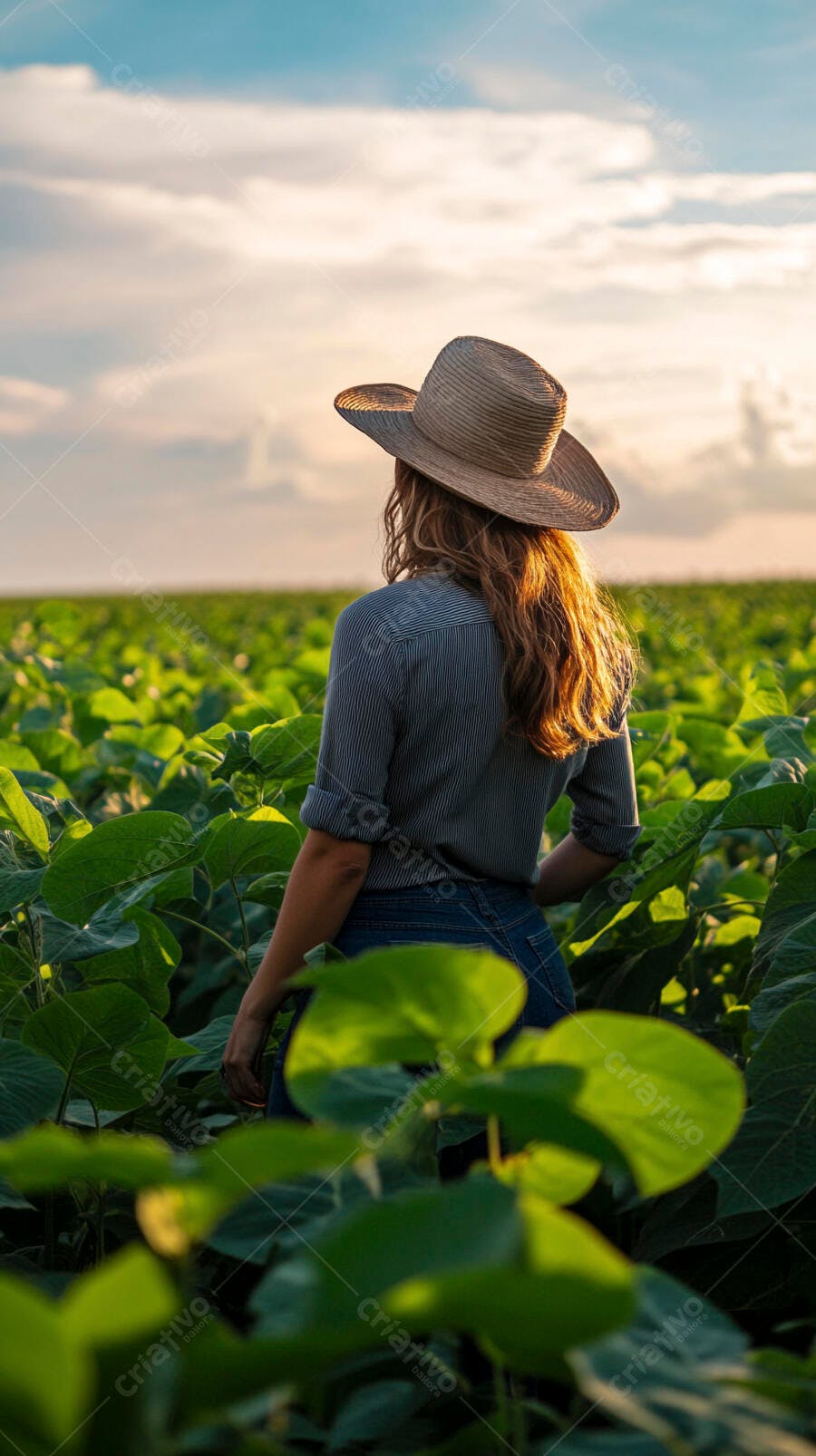 Foto Mulher Agricultora Chapéu Palha Campo Soja Entardecer