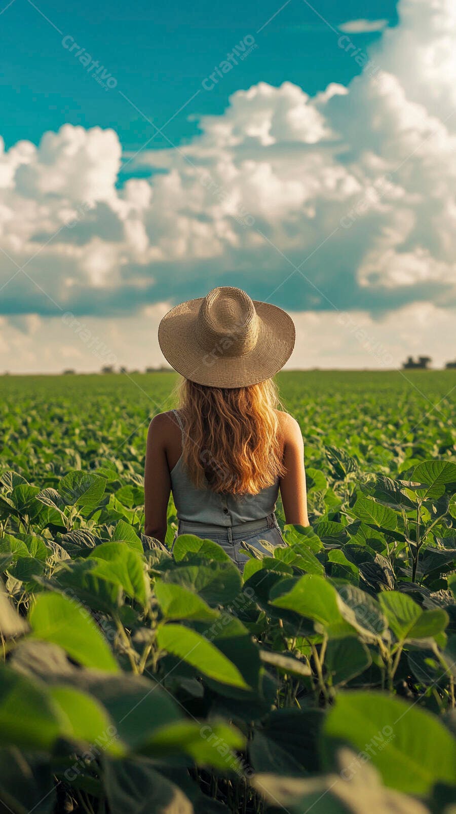 Foto Mulher Chapéu Observando Plantação Agronegócio