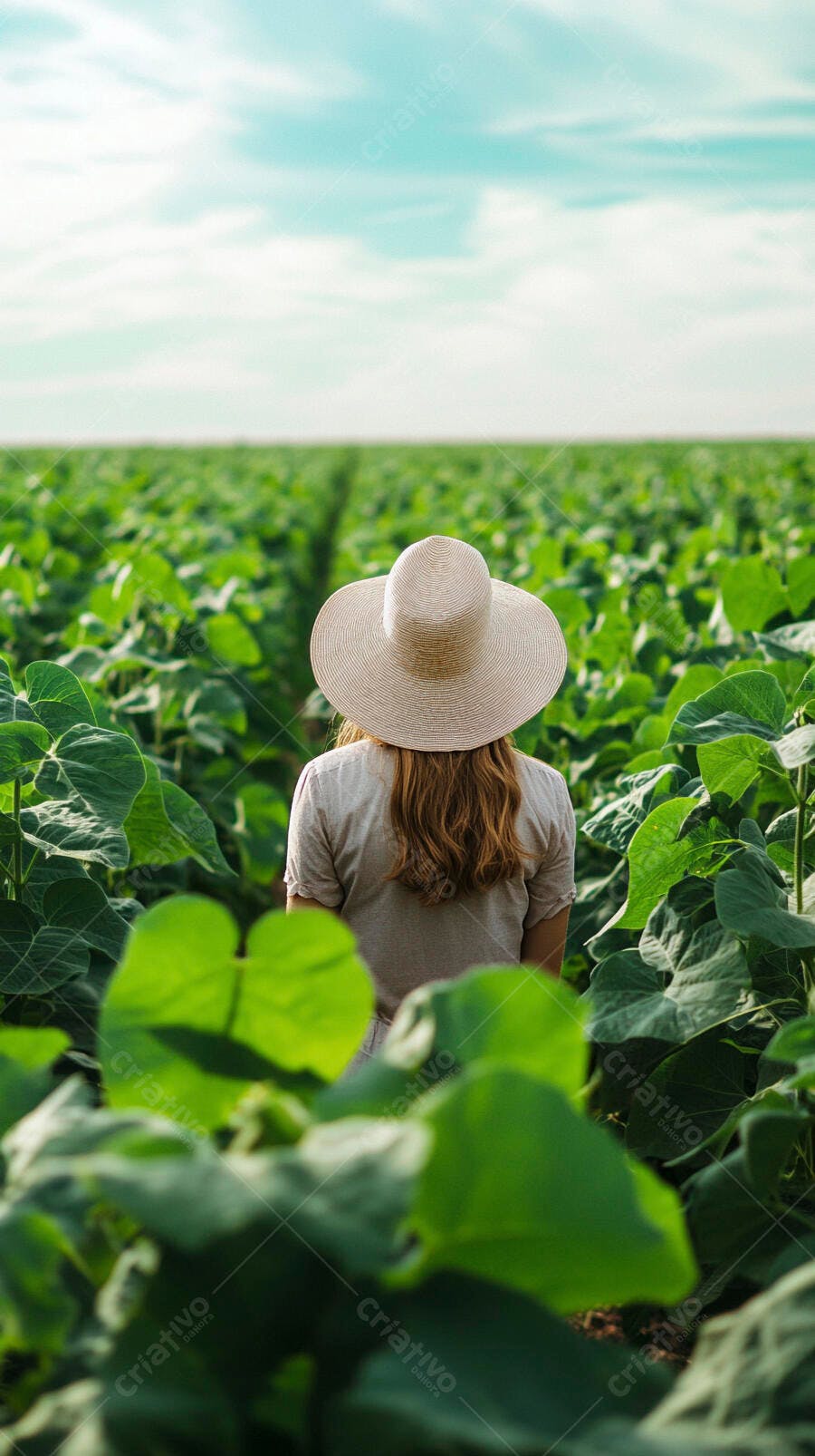 Foto Mulher Chapéu Observando Plantação Agronegócio Campo