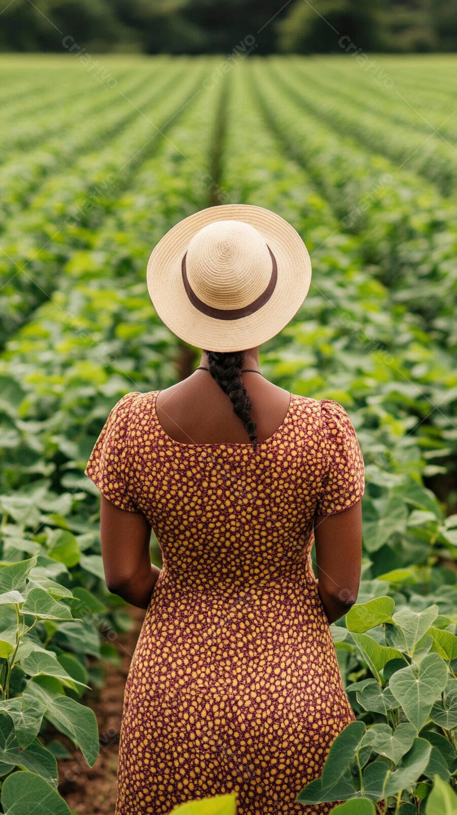 Foto Mulher Negra Chapéu Palha Campo Verde Plantação