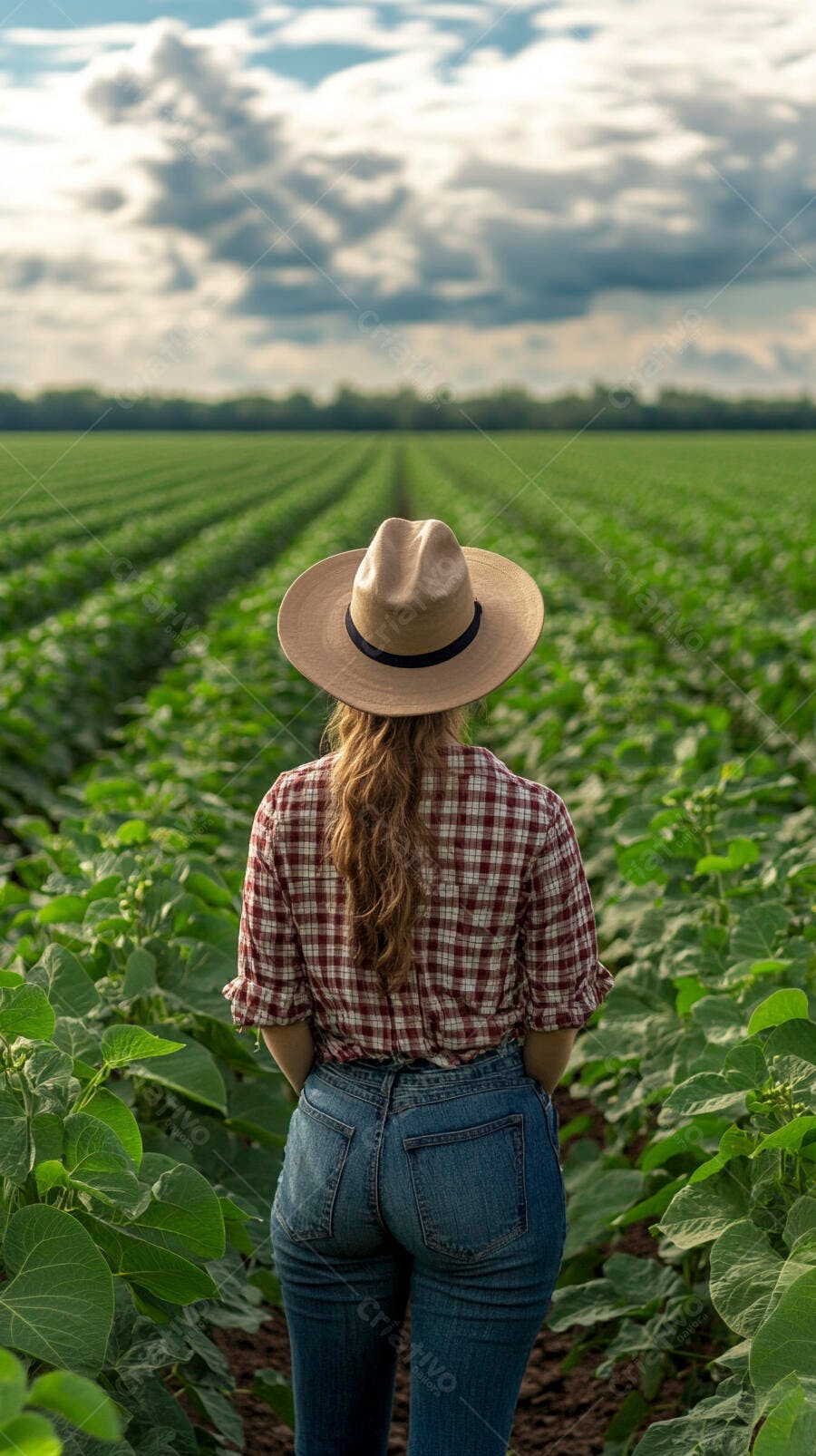 Foto Mulher Fazendeira Chapéu Campo Agrícola Plantio