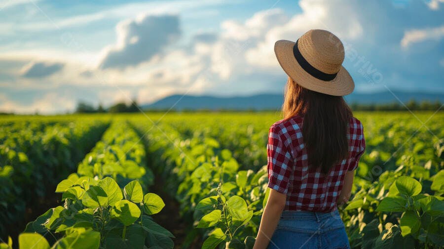 Foto Mulher Agricultora Chapéu Observando Plantação Soja Campo