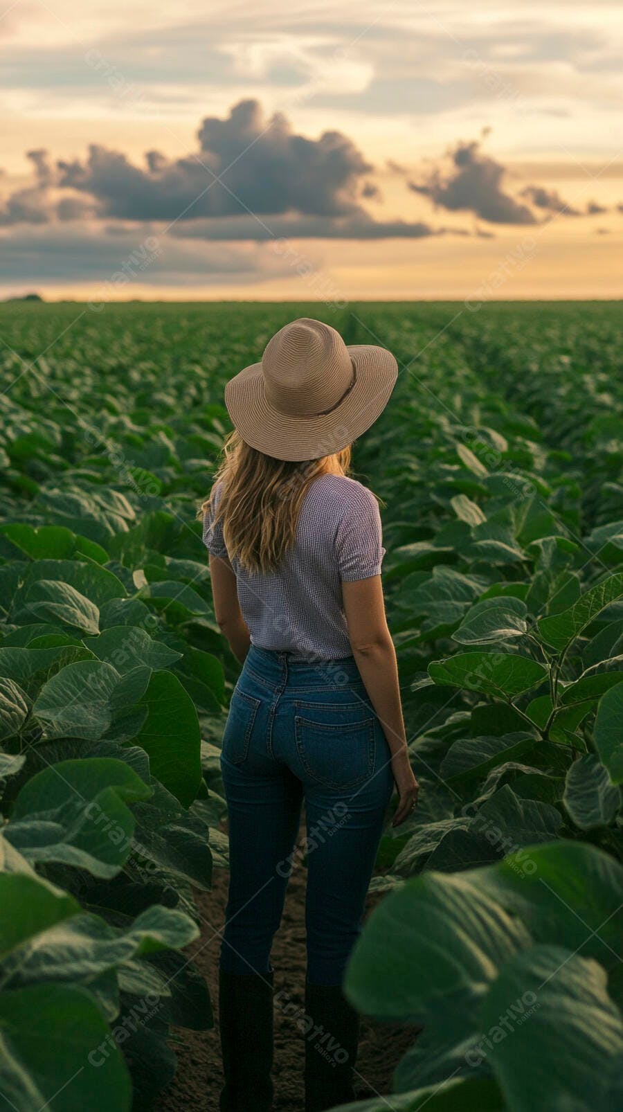 Foto Mulher Chapéu Observando Plantação Agronegócio Pôr do Sol