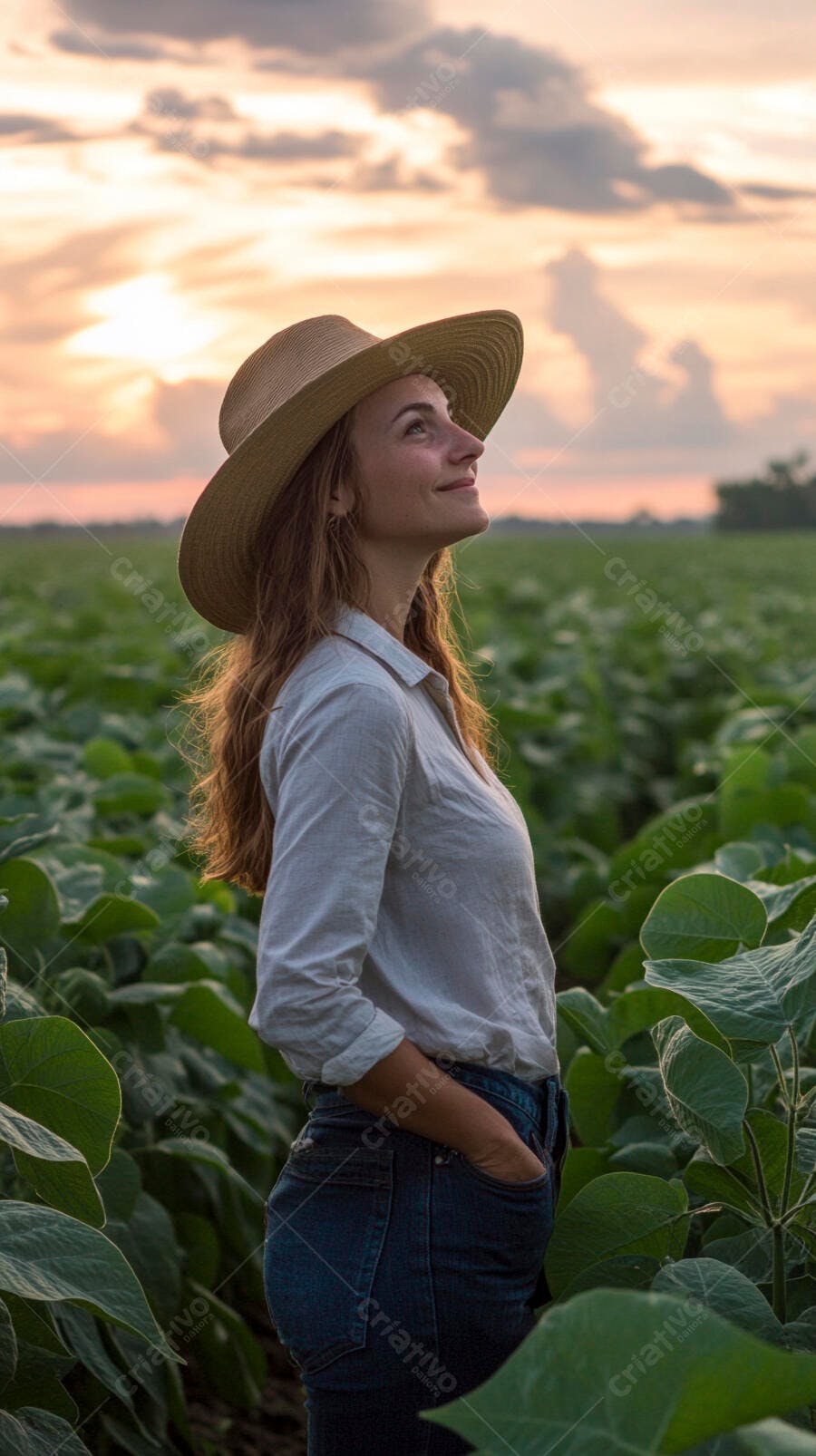 Foto Mulher Jovem Chapéu Campo Agrícola Pôr do Sol