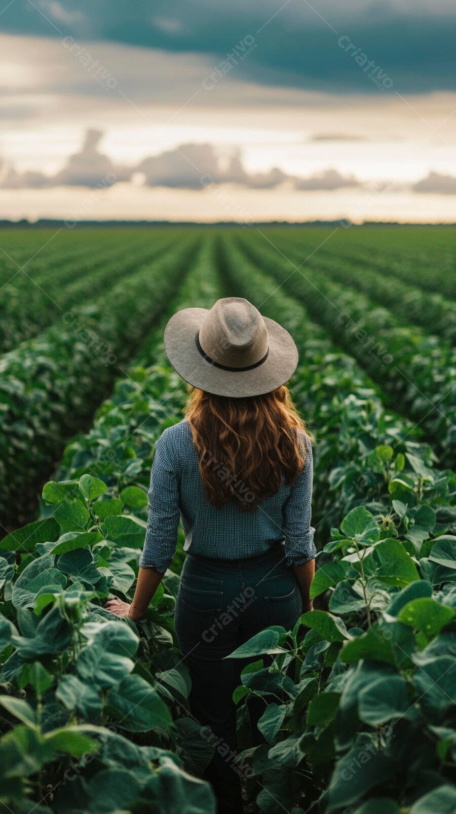 Mulher agricultora ruiva com chapéu em plantação verde ao entardecer