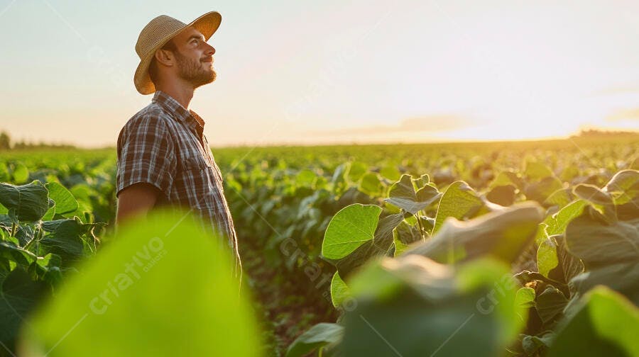 Foto Fazendeiro Jovem Chapéu Campo Agrícola Pôr do Sol