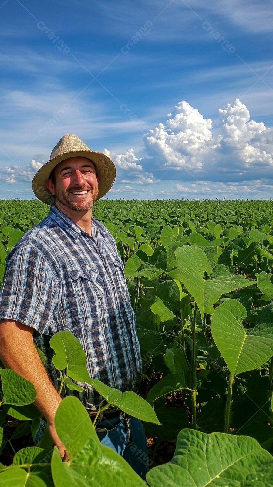 Foto Agricultor Sorrindo Chapéu Campo de Soja Dia Ensolarado