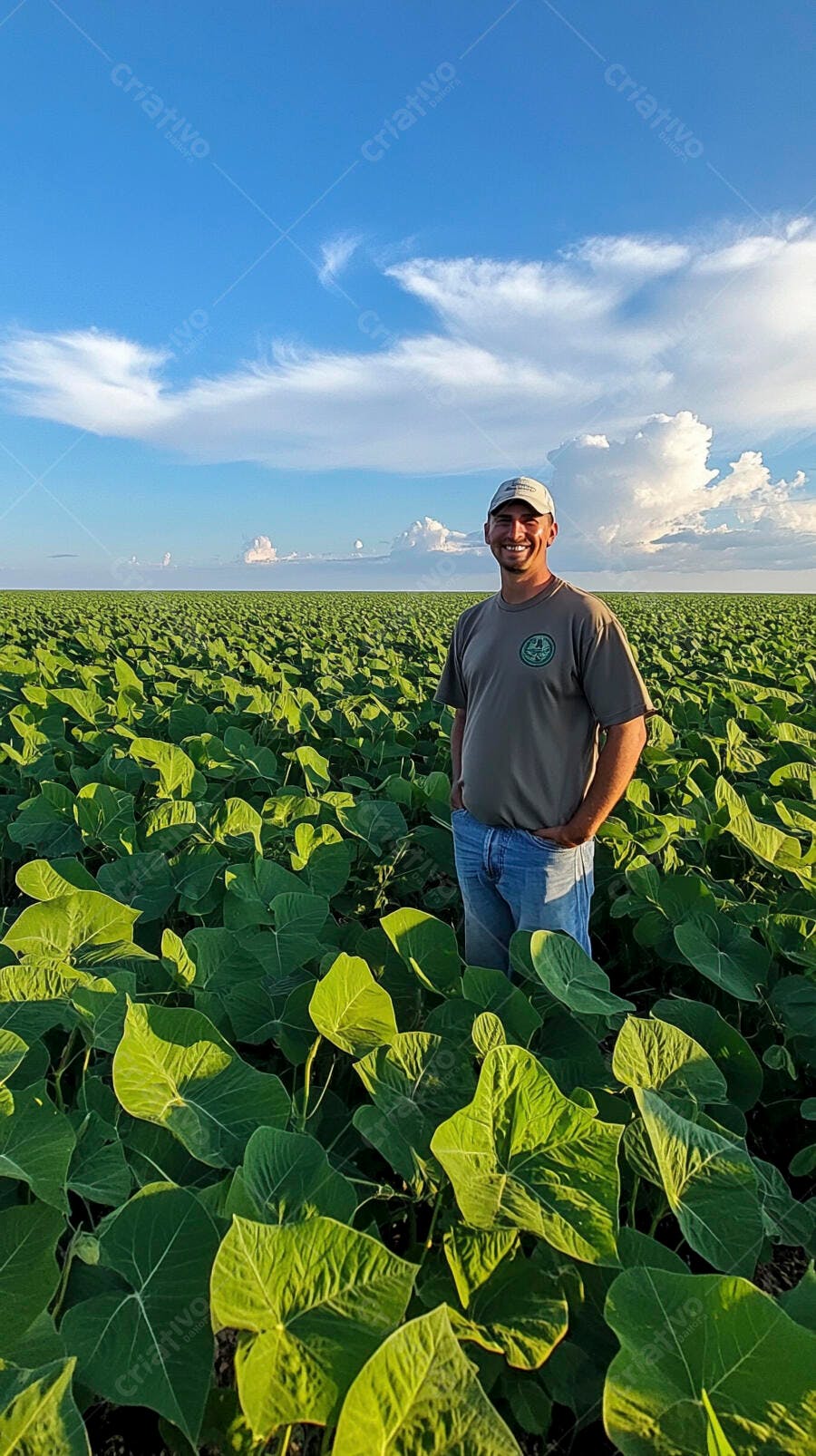 Foto Homem Sorrindo Agricultor Campo de Plantio Agronegócio