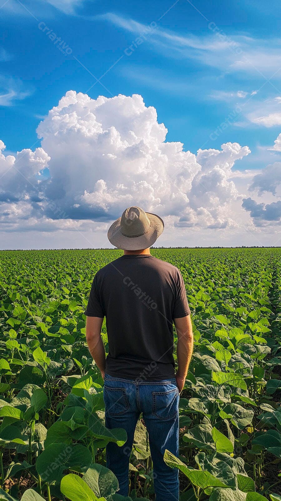 Foto Fazendeiro Chapéu Campo de Soja Agronegócio