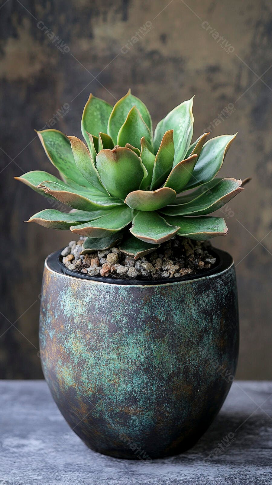 Foto Suculenta Echeveria Vaso Rústico Texturizado Decoração