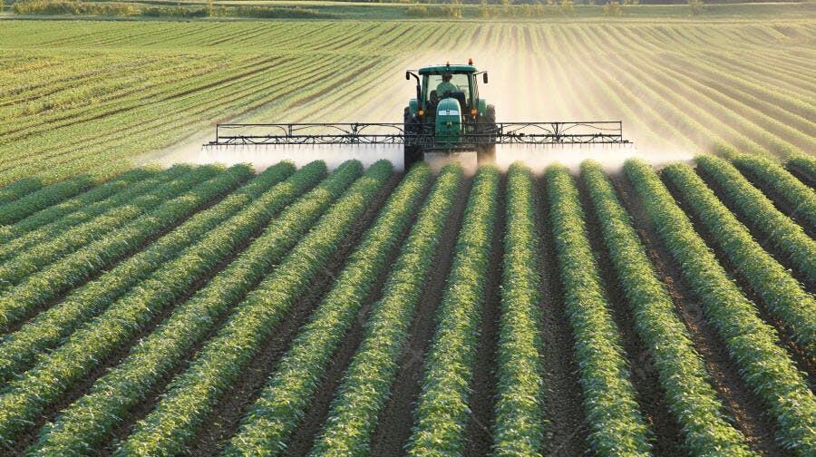Trator verde pulverizando lavoura de plantas verdes frescas ao sol