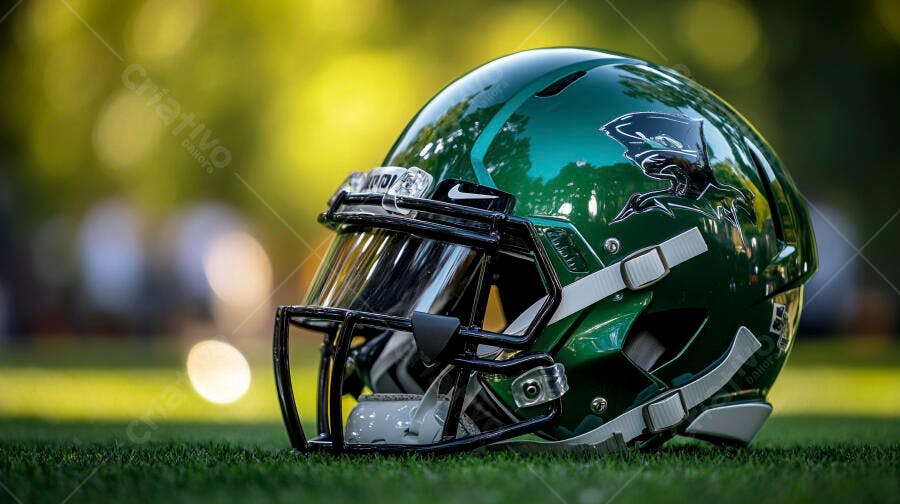 Capacete de futebol americano verde escuro em campo de grama com logo de pato