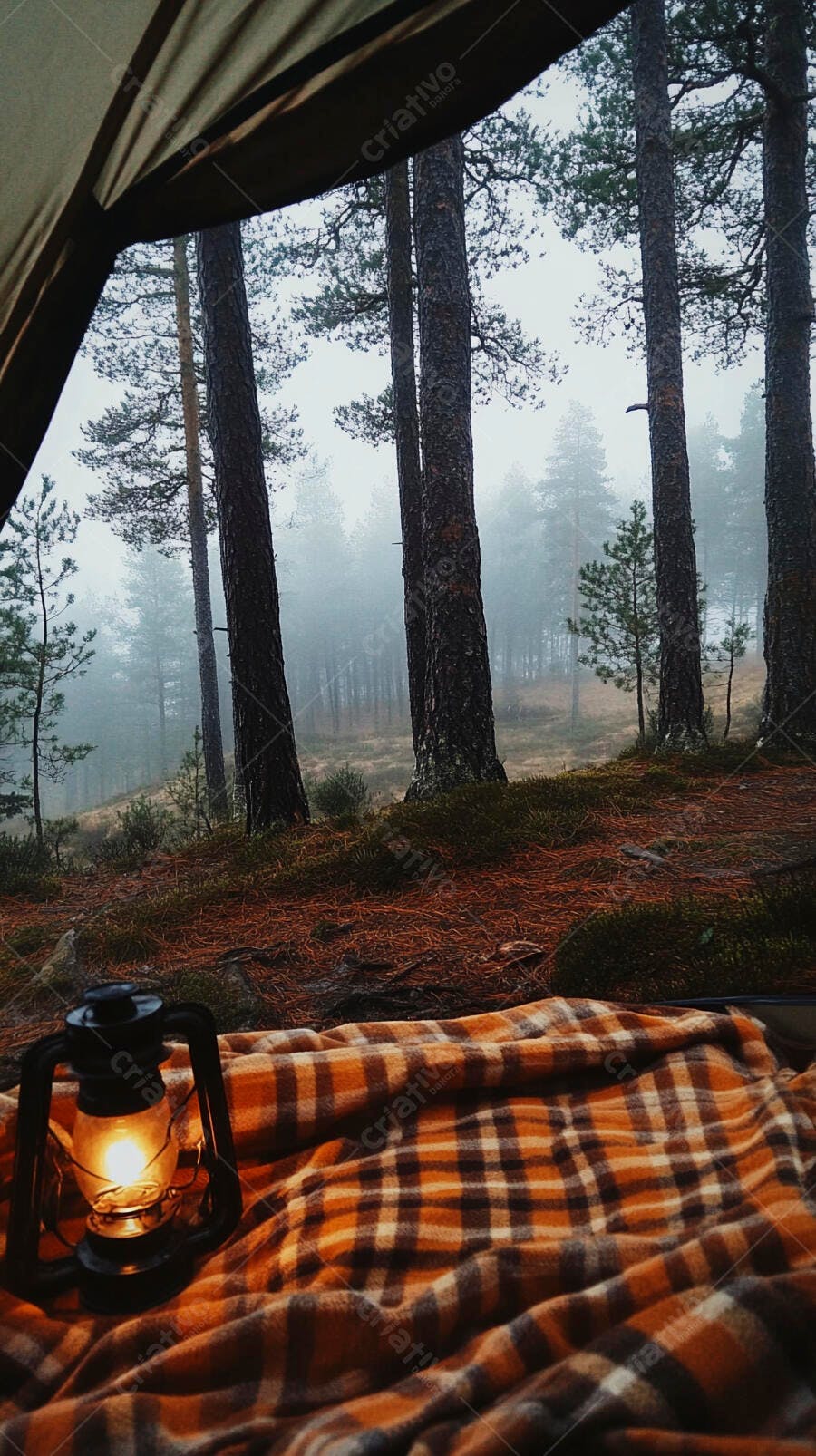 Acampamento na floresta nebulosa com lanterna e manta xadrez