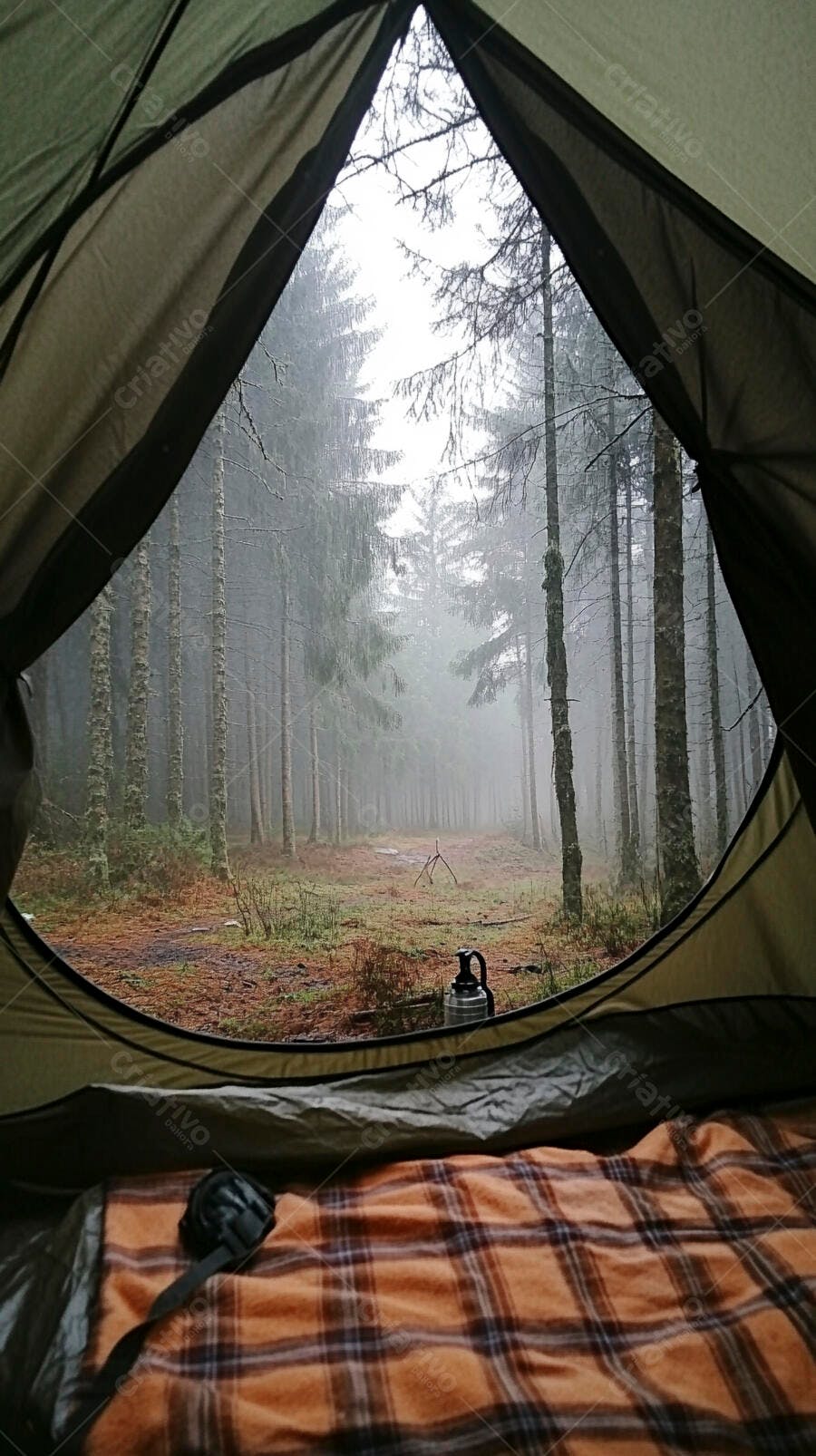 Vista da barraca para floresta densa com neblina matinal