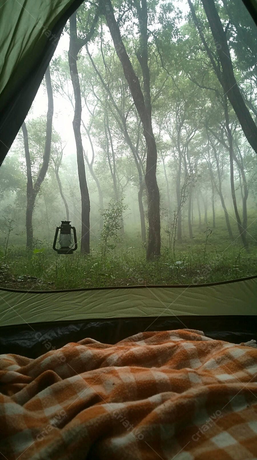 Acampamento na floresta nebulosa vista da barraca com cobertor e lanterna