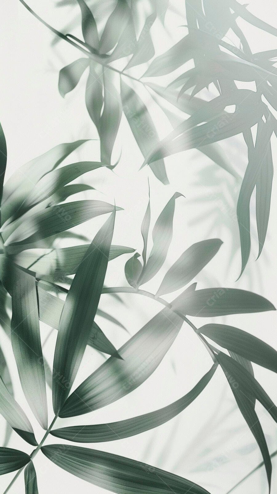 Folhas verde claro com luz suave e fundo branco minimalista