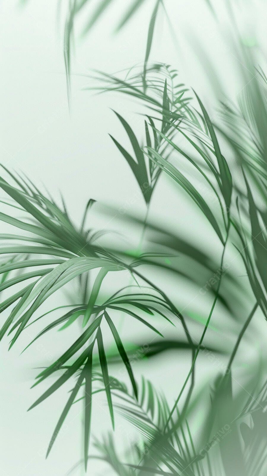 Folhas de palmeira tropicais verdes claras com fundo suave e natural
