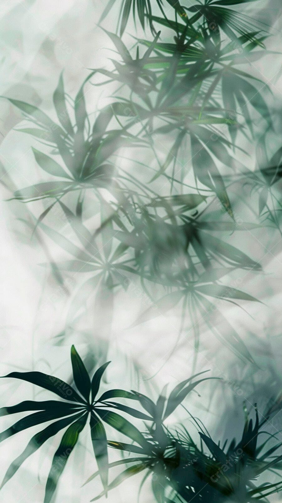 Folhas verdes tropicais com luz suave e efeito desfocado natural