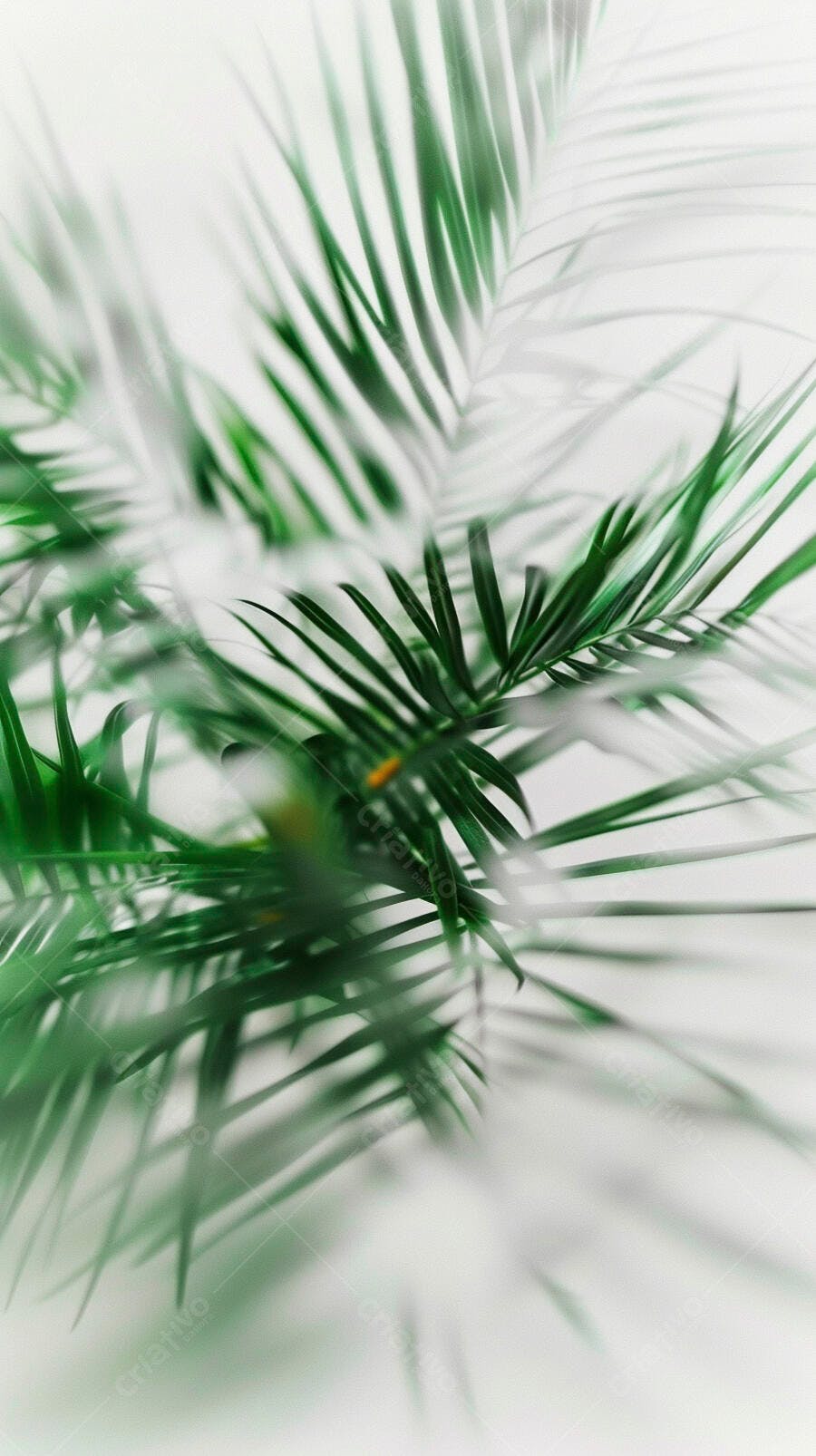 Folhas de palmeira verdes vibrantes em fundo branco desfocado