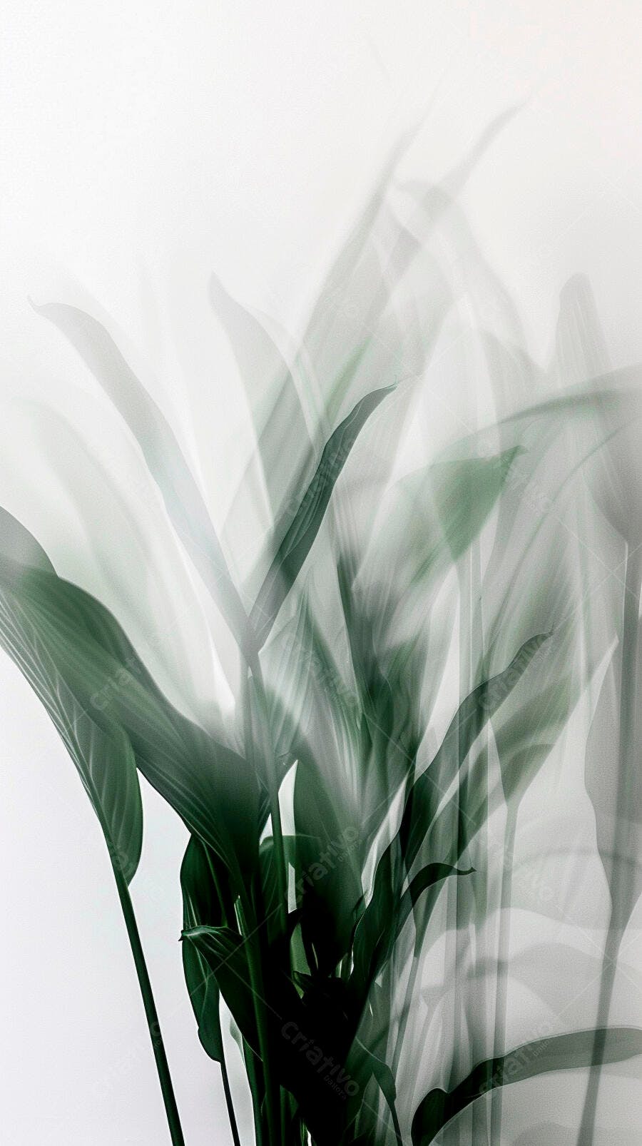 Folhagem verde escura em fundo branco com efeito abstrato de movimento