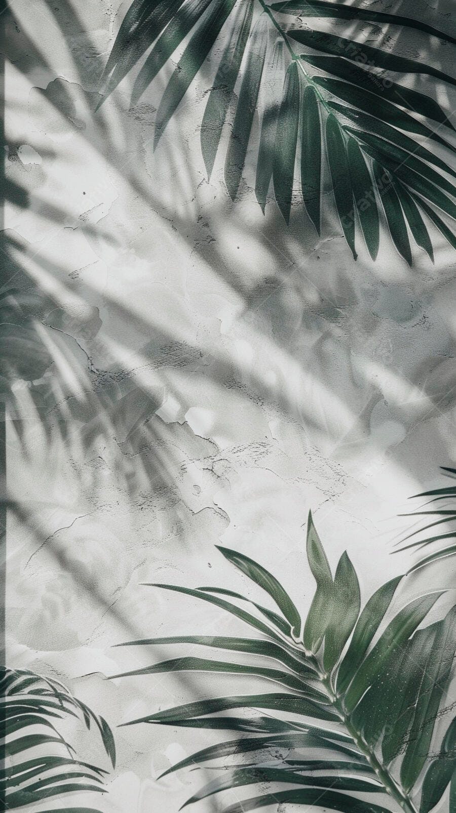 Folhas de palmeira verde escura com sombras em parede cinza texturizada