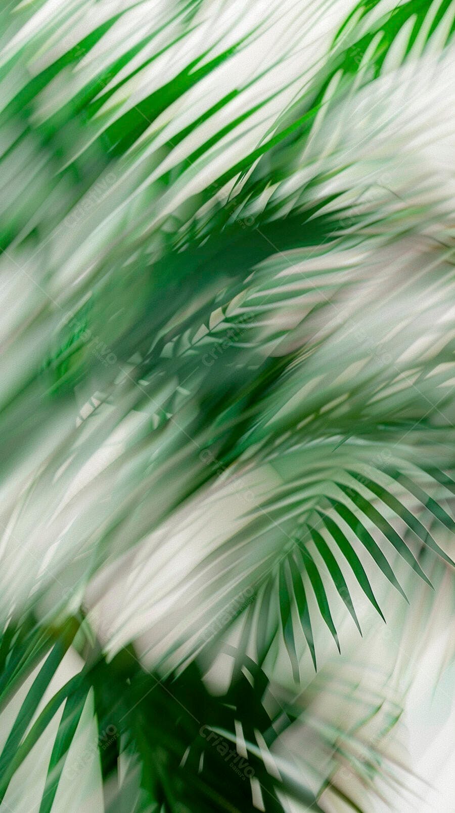 Folhas de palmeira verdes em close-up com fundo tropical desfocado