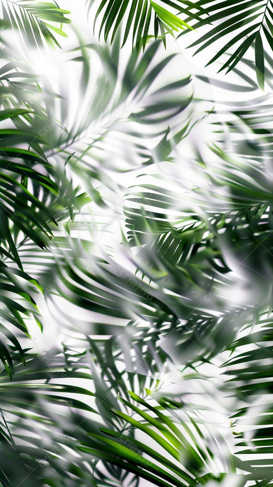 Folhas de palmeira verdes vibrantes em fundo branco minimalista tropical