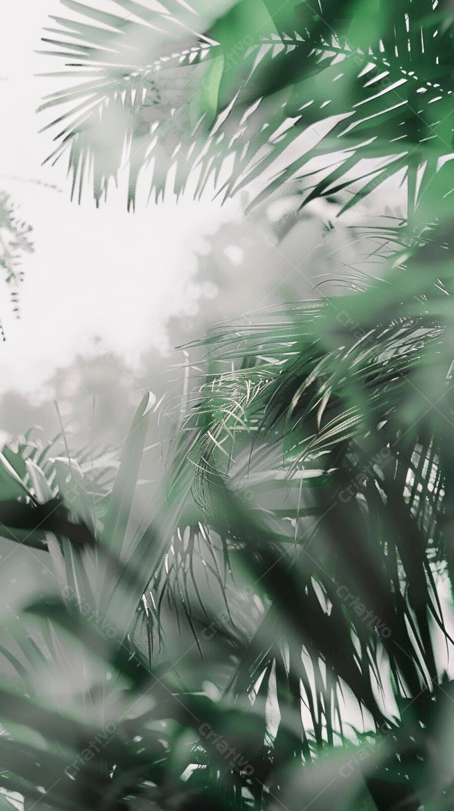 Folhas de palmeira verde tropical sob luz brilhante natureza exuberante