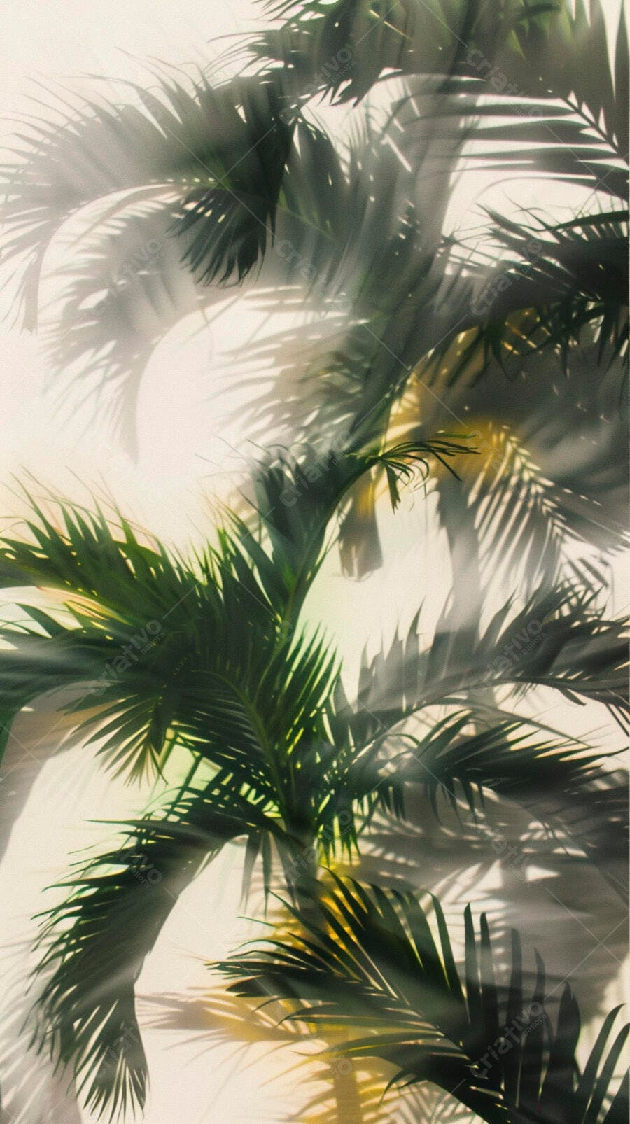Folhas de palmeira tropicais com sombras dramáticas em fundo claro ensolarado