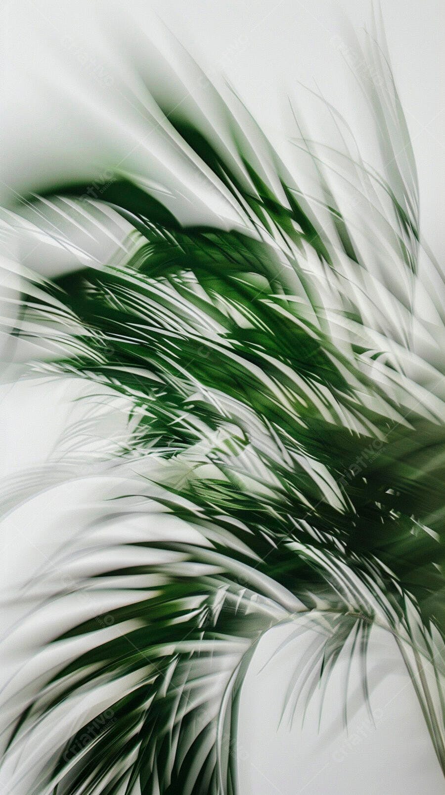 Folhas de palmeira tropicais verdes sobre fundo claro abstrato