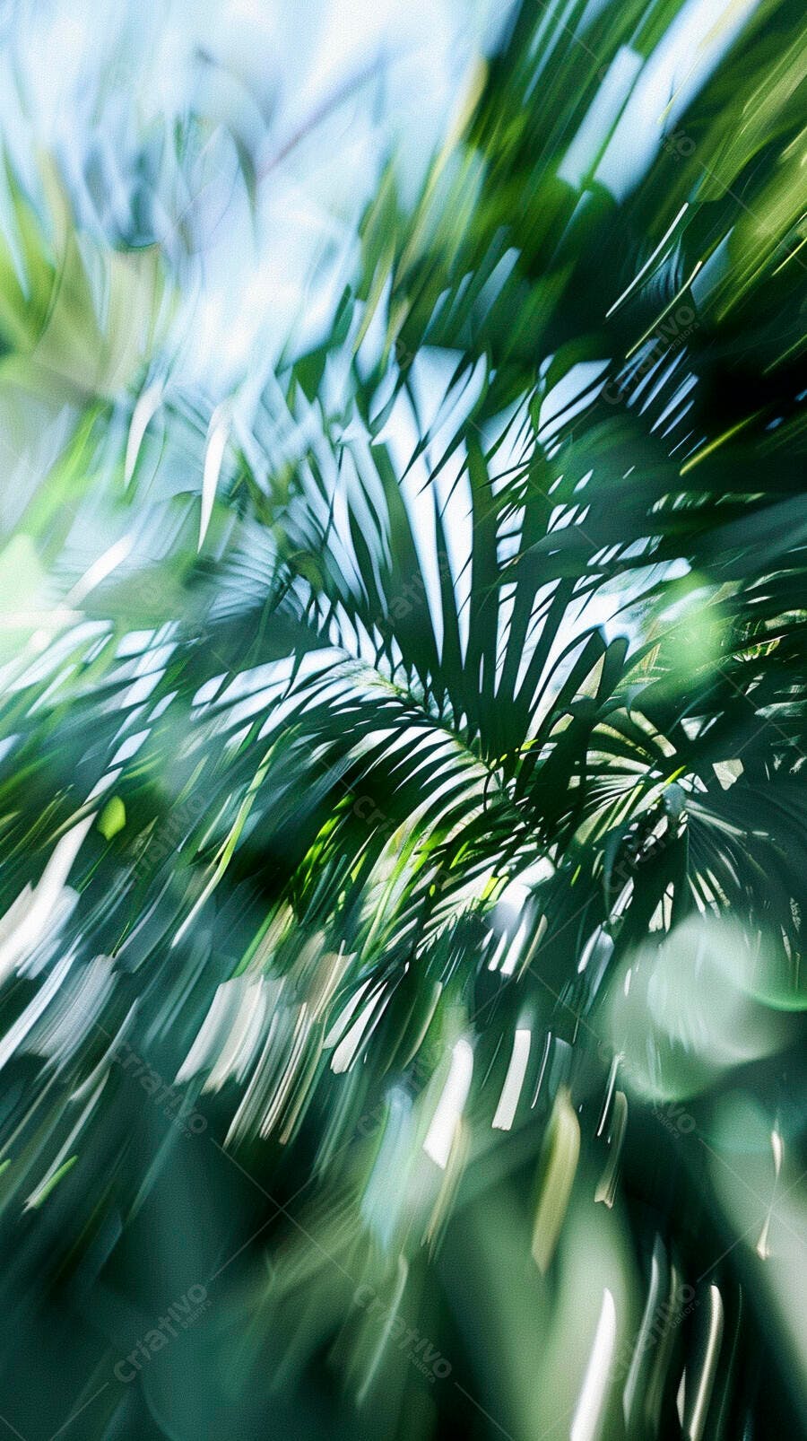Folhas de palmeira verde vibrante com desfoque de movimento sob luz solar