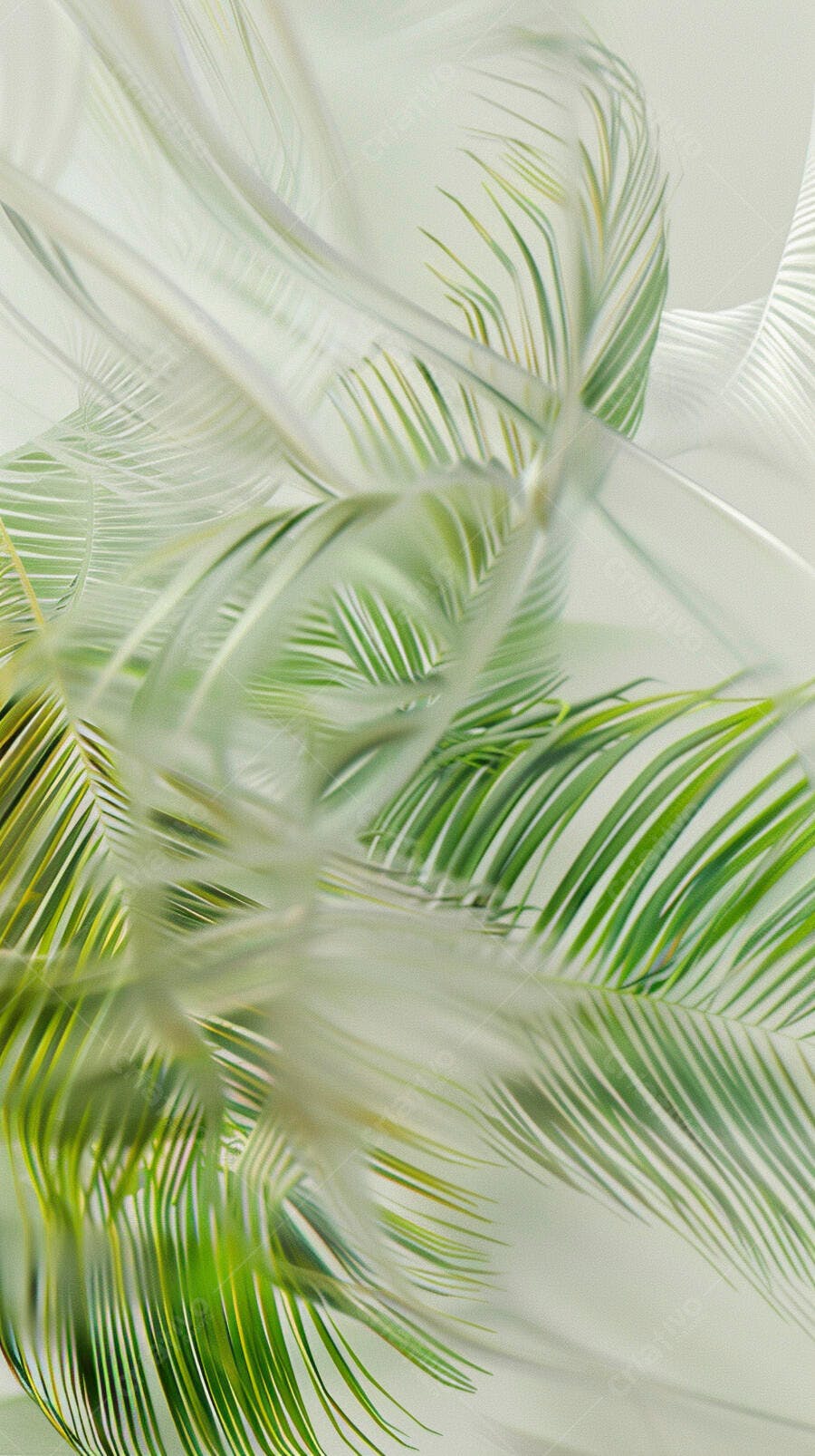 Folhas verdes desfocadas textura natural e suave fundo abstrato