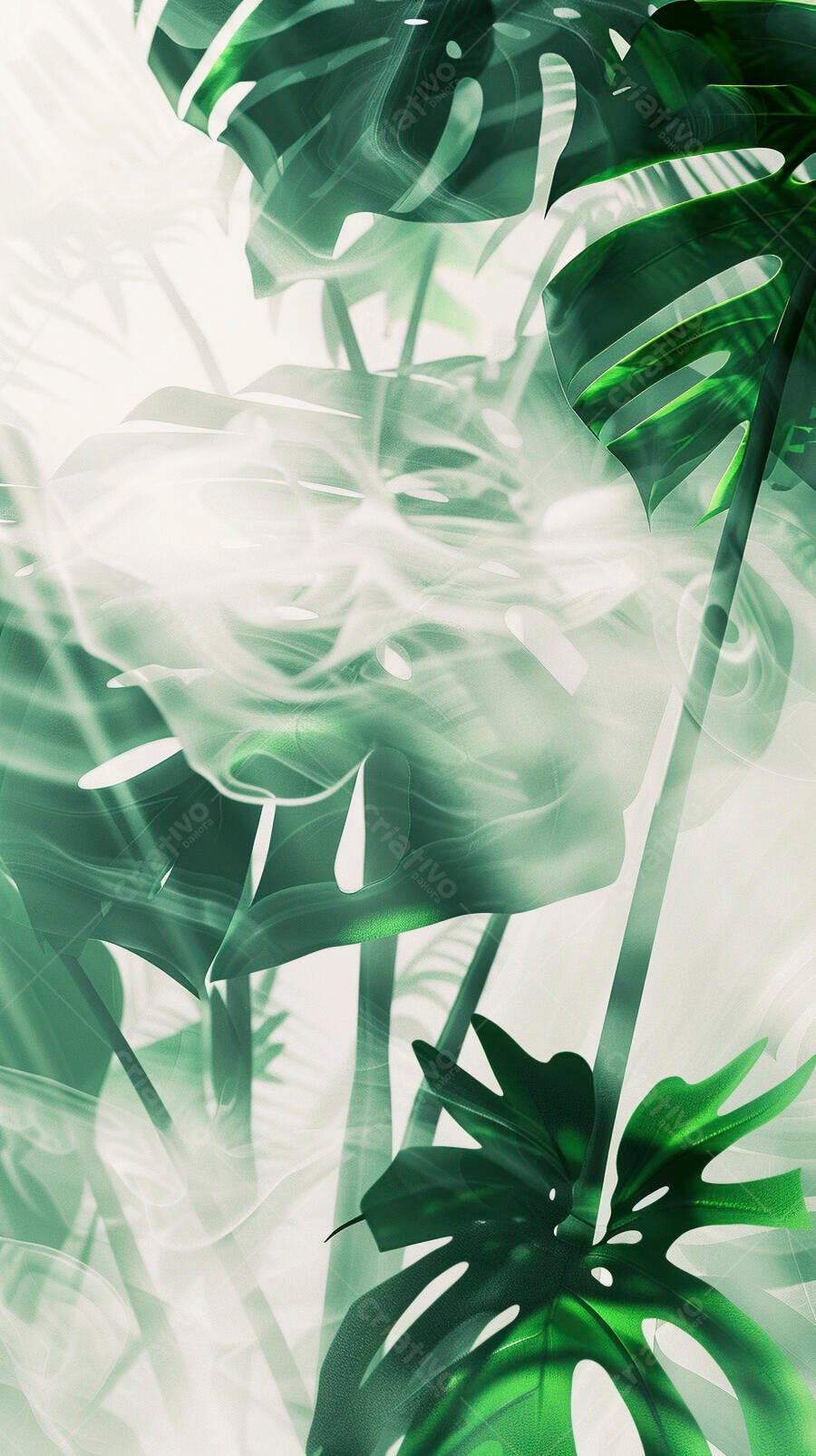 Folhas de Monstera verdes em camadas com fundo branco e efeito etéreo