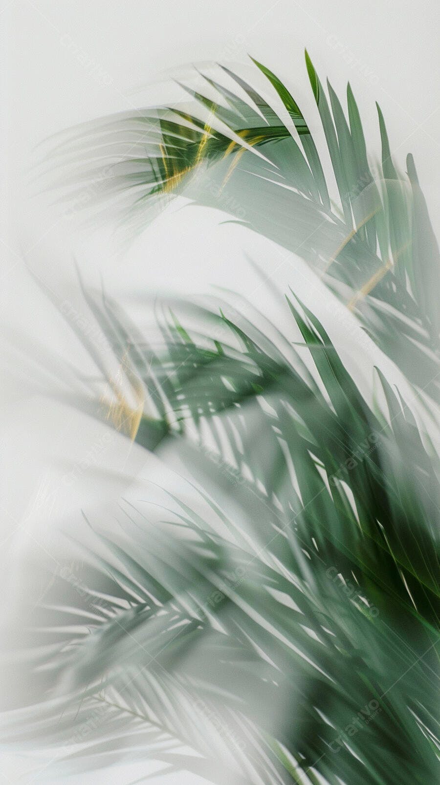 Folhas de palmeira verde vibrante em sobreposição minimalista fundo claro