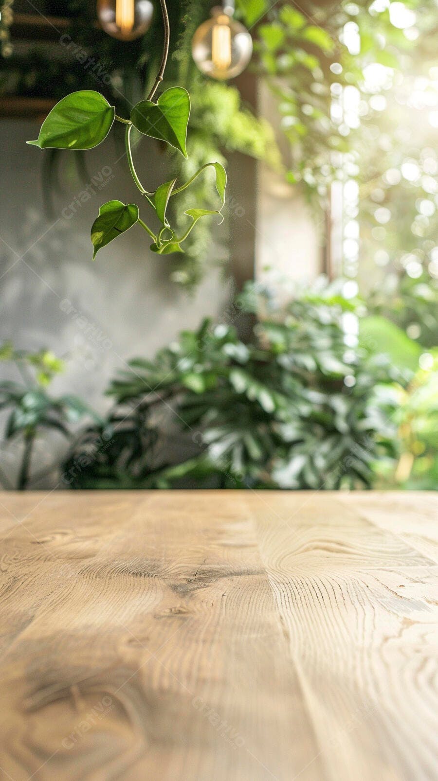 Mesa de madeira rústica com planta verde pendurada e luz natural em ambiente interno