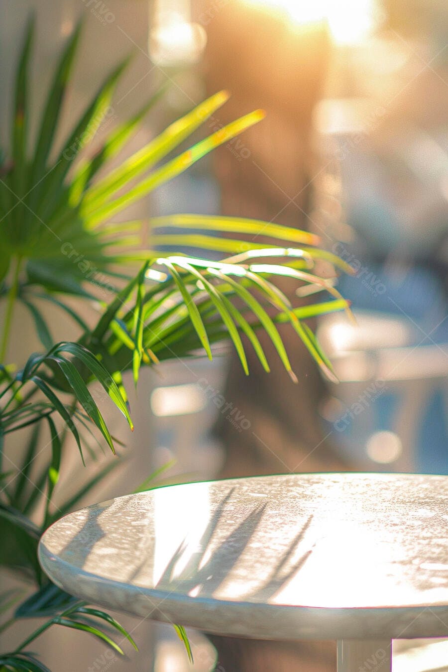 Planta verde e mesa redonda com brilho do sol e sombras suaves