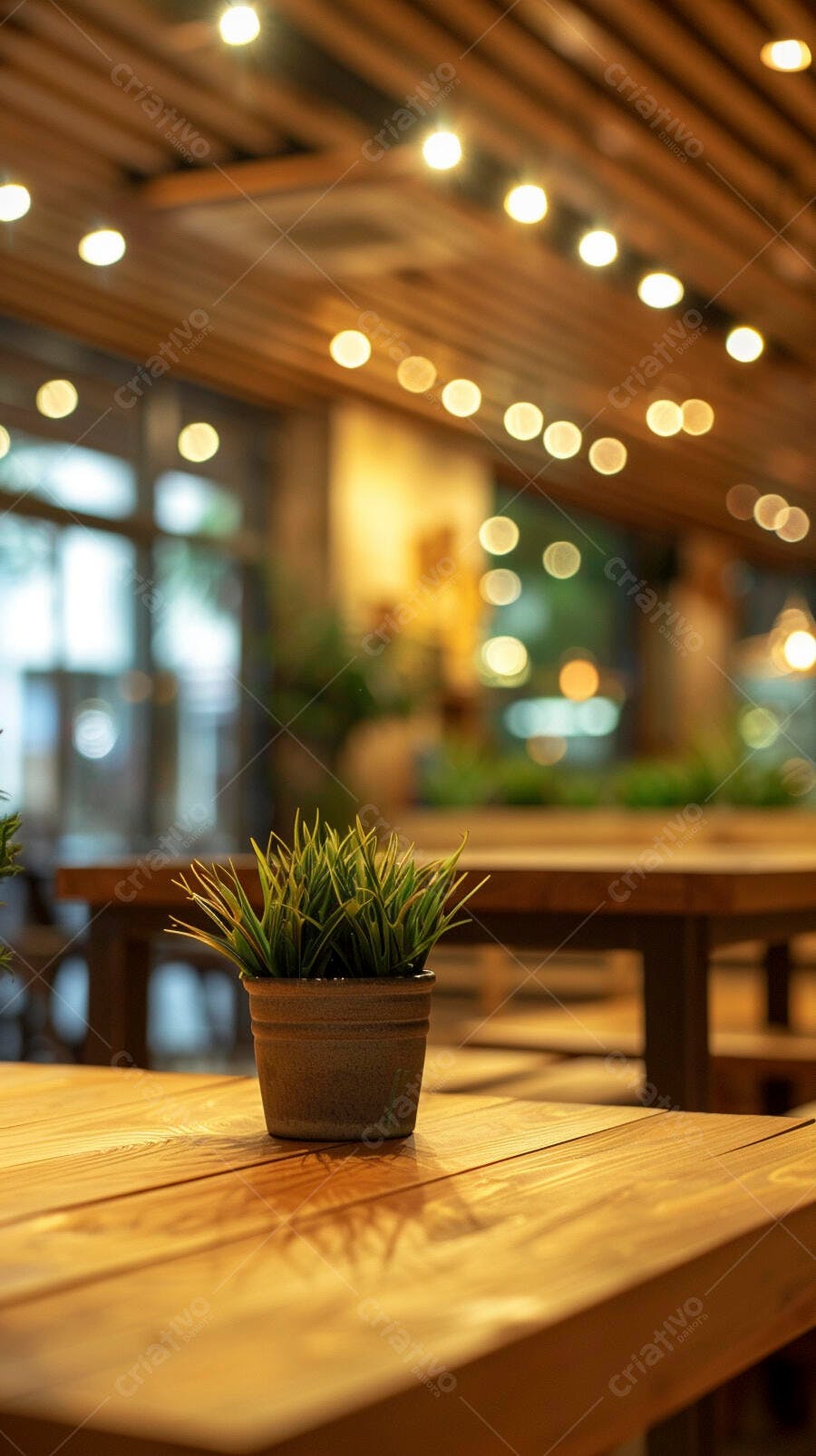 Vasinho de planta verde sobre mesa de madeira em café com luzes bokeh