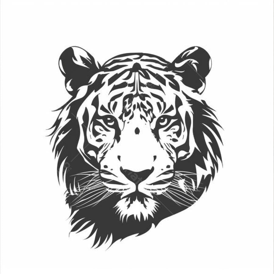 Tigre cabeça ilustração vetorial preto e branco com olhar intenso