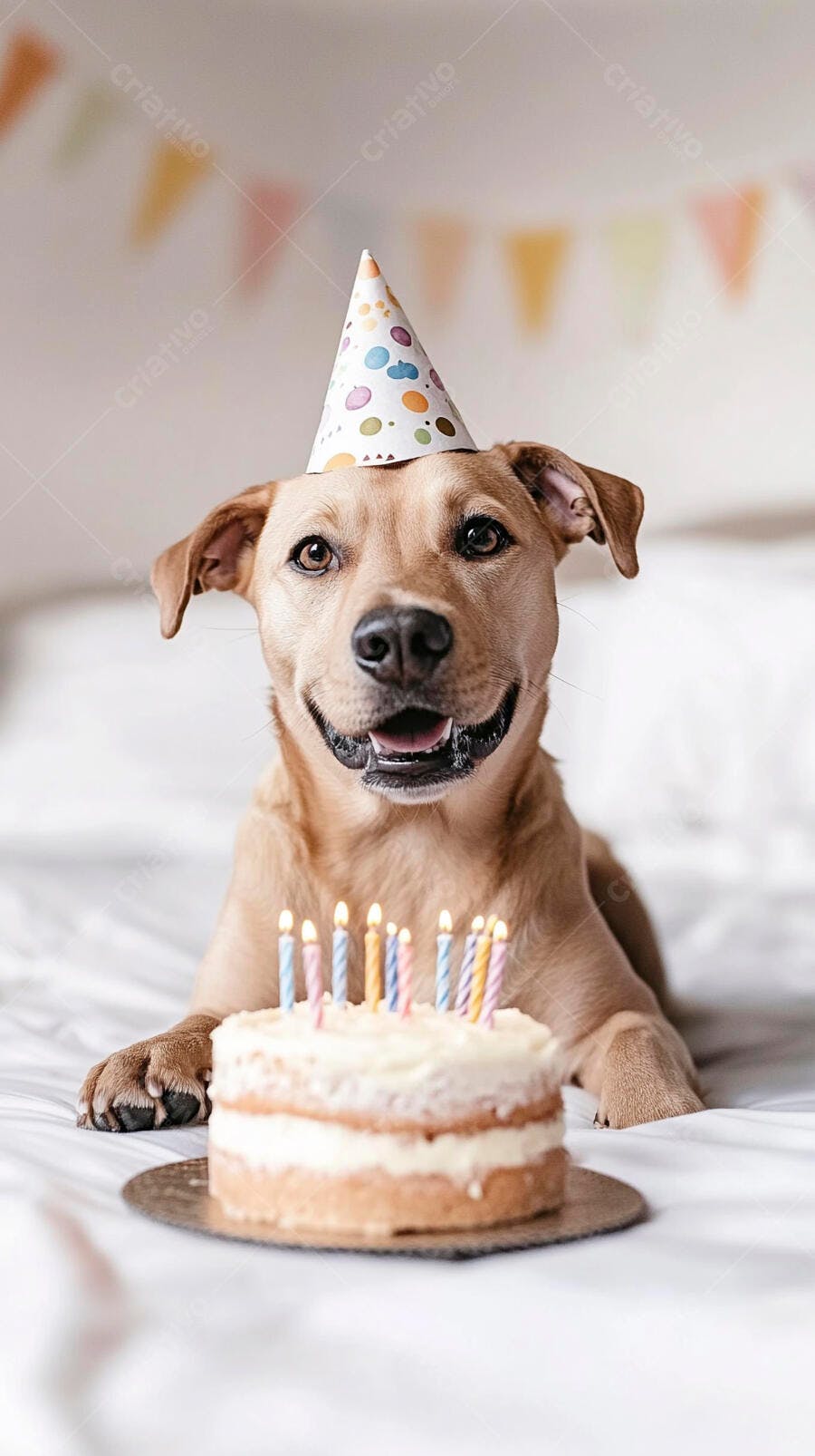 Cachorro caramelo feliz com chapéu de festa e bolo de aniversário na cama