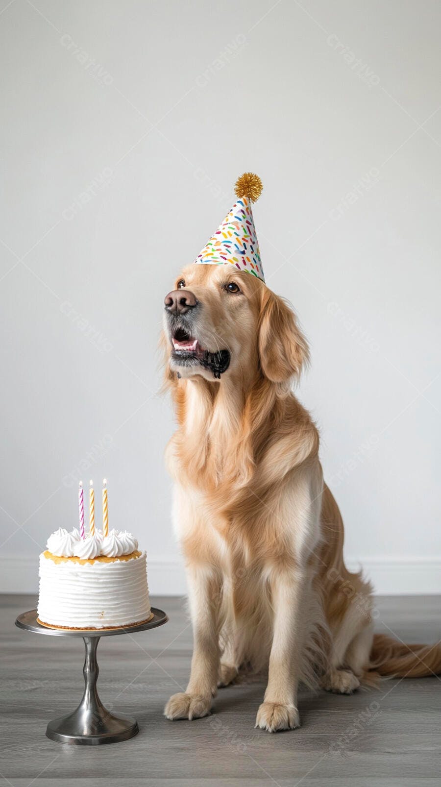 Cão Golden Retriever com chapéu de festa e bolo de aniversário