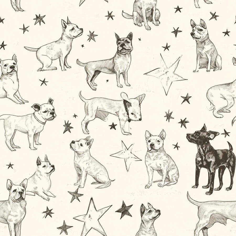 Cães ilustrados em padrão sem costura com estrelas estilo vintage