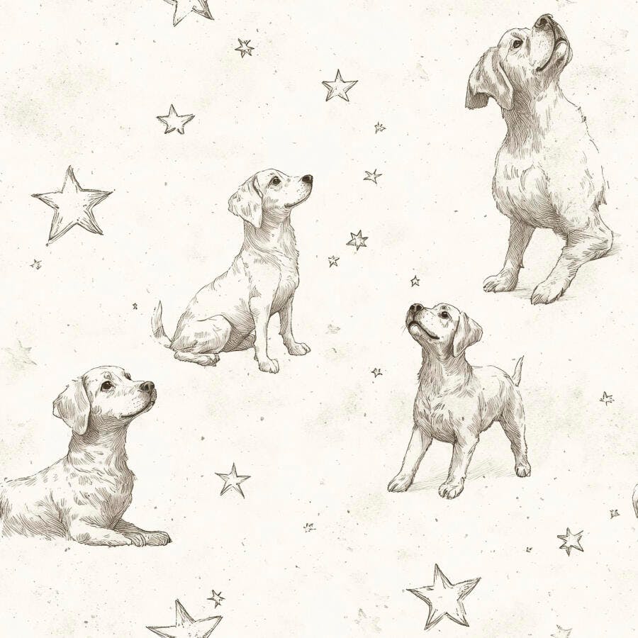 Desenho de cachorros filhotes olhando estrelas em fundo bege