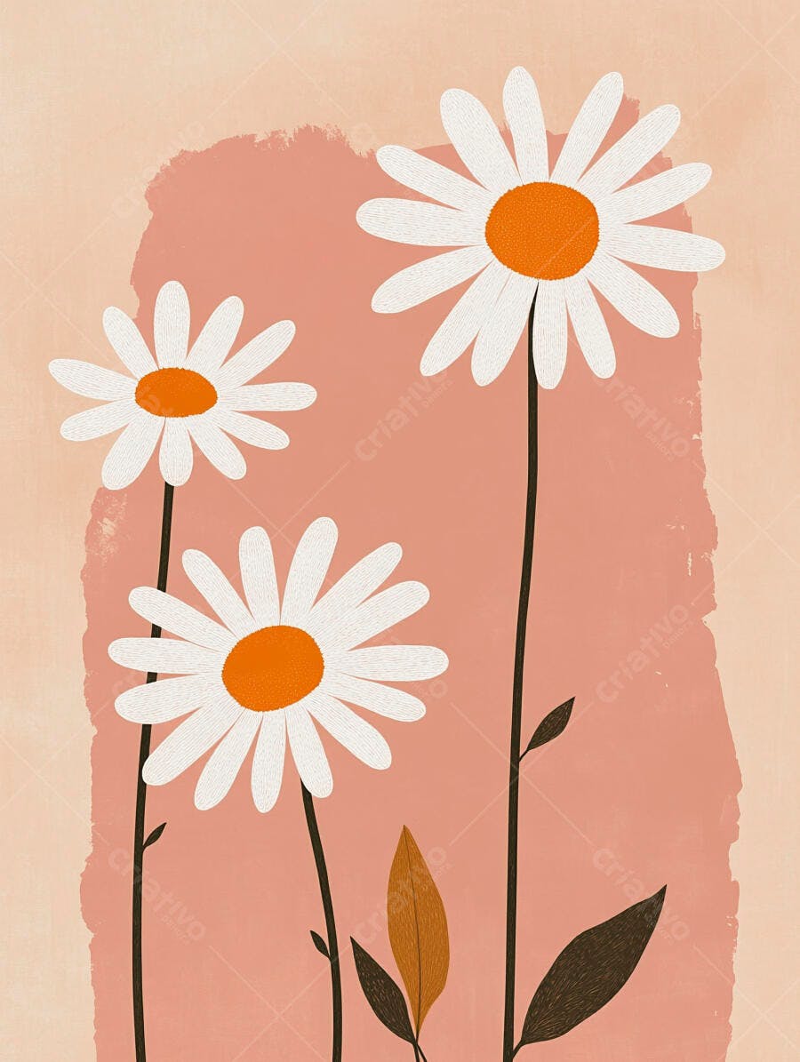 Três margaridas brancas ilustradas em estilo minimalista com fundo rosa claro