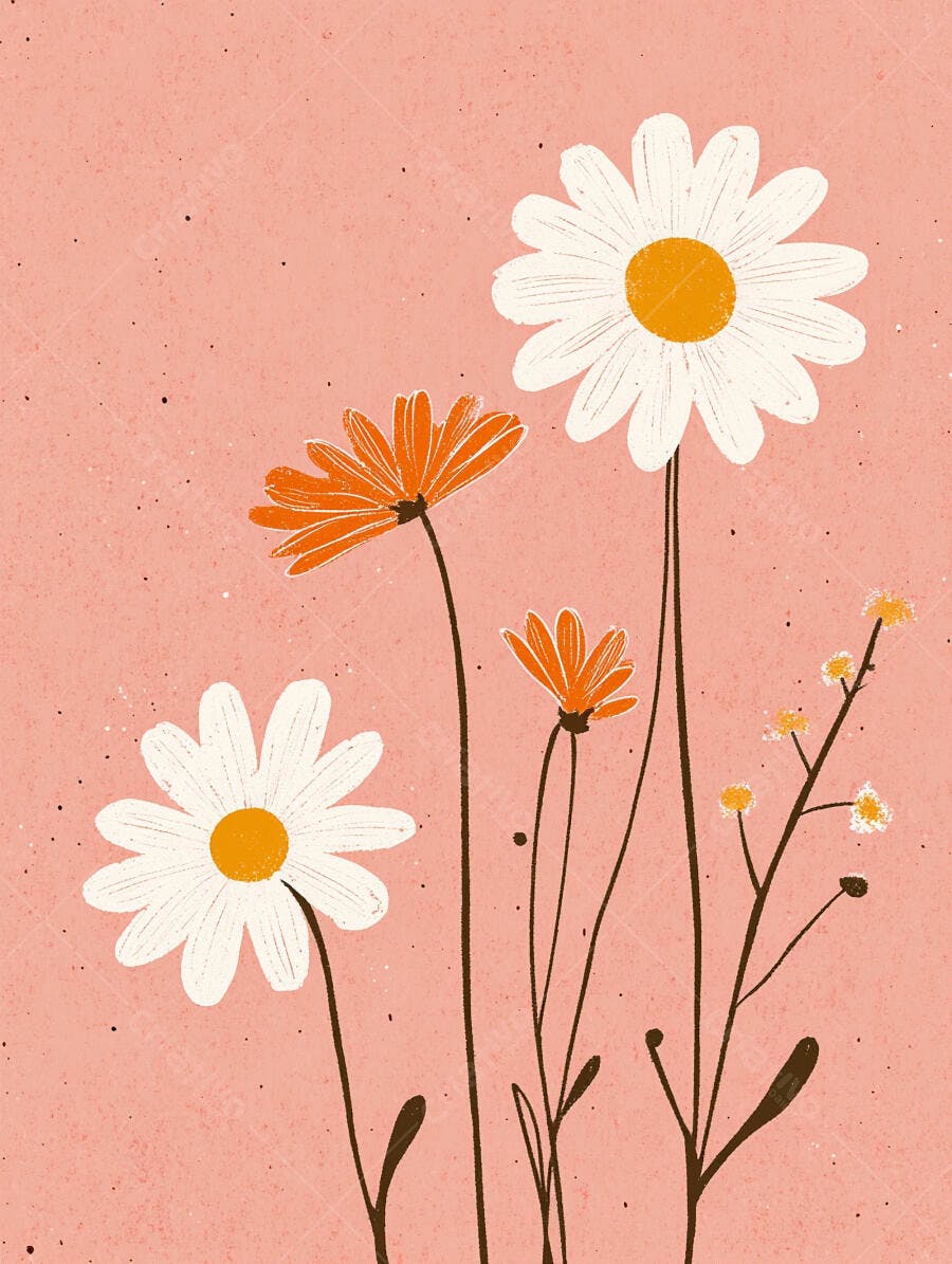 Margaridas brancas e flores laranjas ilustração fundo rosa pêssego