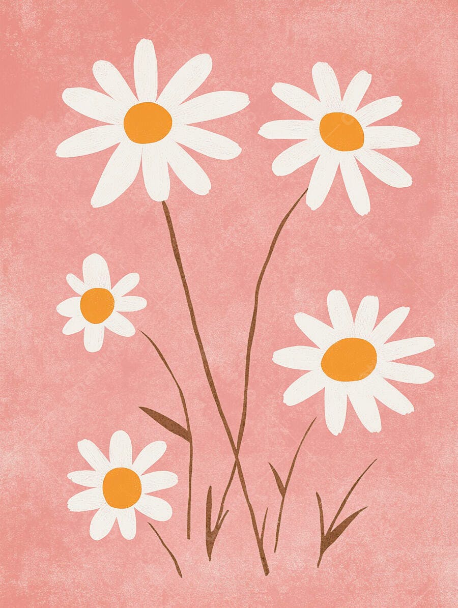 Margaridas brancas com miolo laranja sobre fundo rosa pastel texturizado ilustração simples