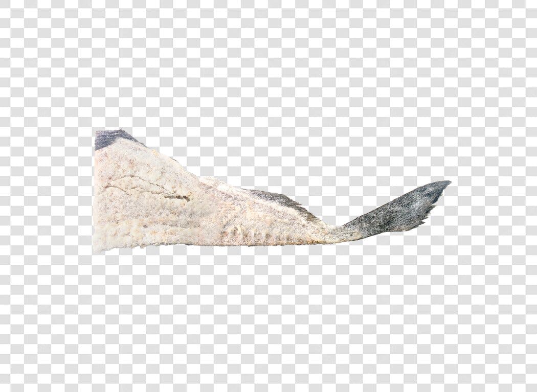 Pedaço de Bacalhau Seco Salgado para Culinária PNG com fundo transparente