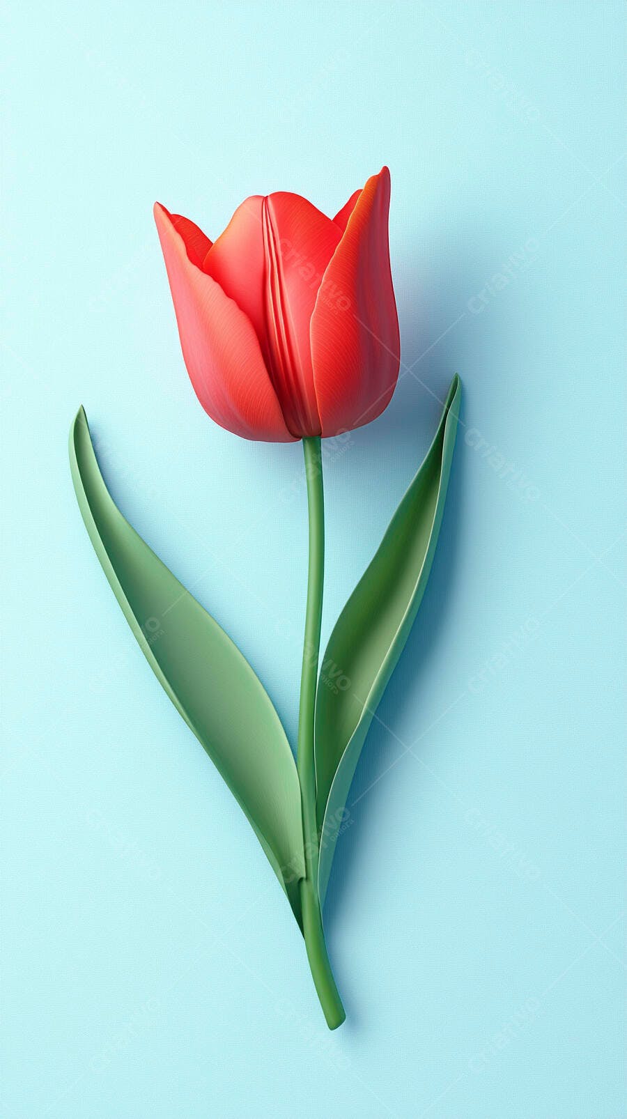 Tulipa vermelha e verde em fundo azul claro minimalista