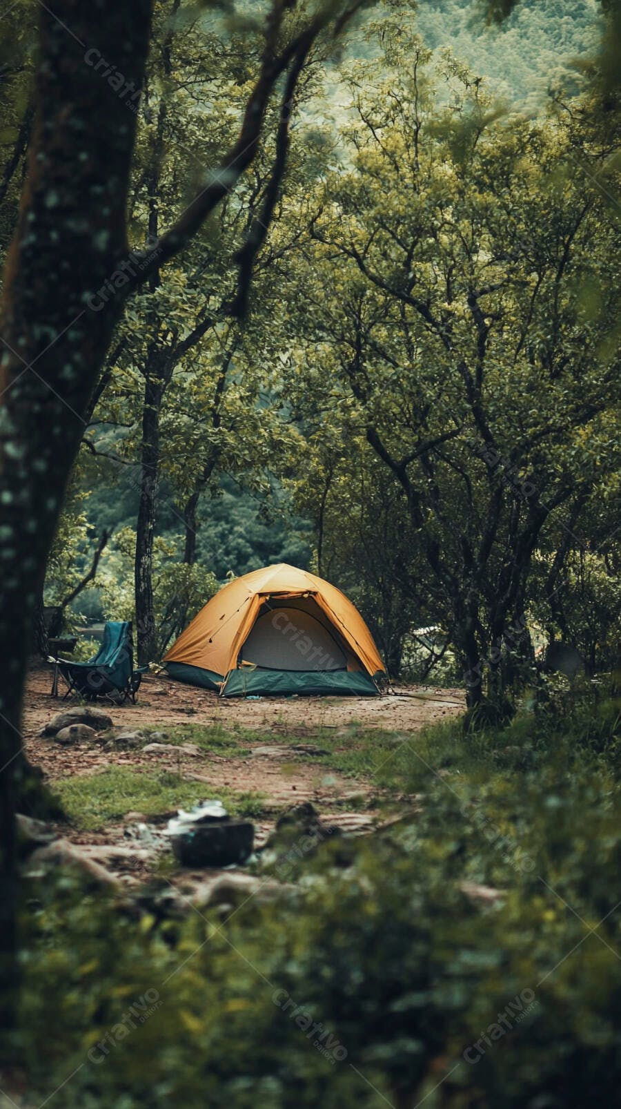 Barraca de camping amarela e verde em floresta exuberante com cadeira